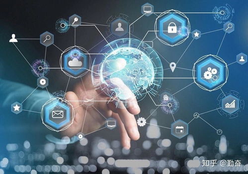 计算机网络平台的开发与建设 通往月入三万的网络创业路径探析